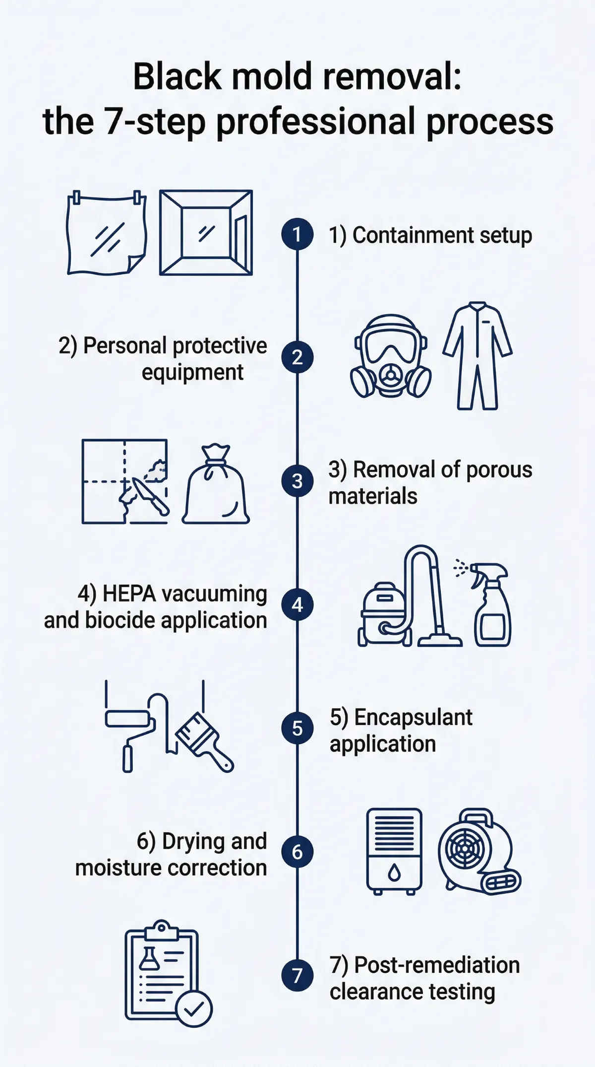 Infographic showing the 7-step professional black mold removal process: containment setup, PPE, material removal, HEPA vacuuming, encapsulant application, drying, and clearance testing