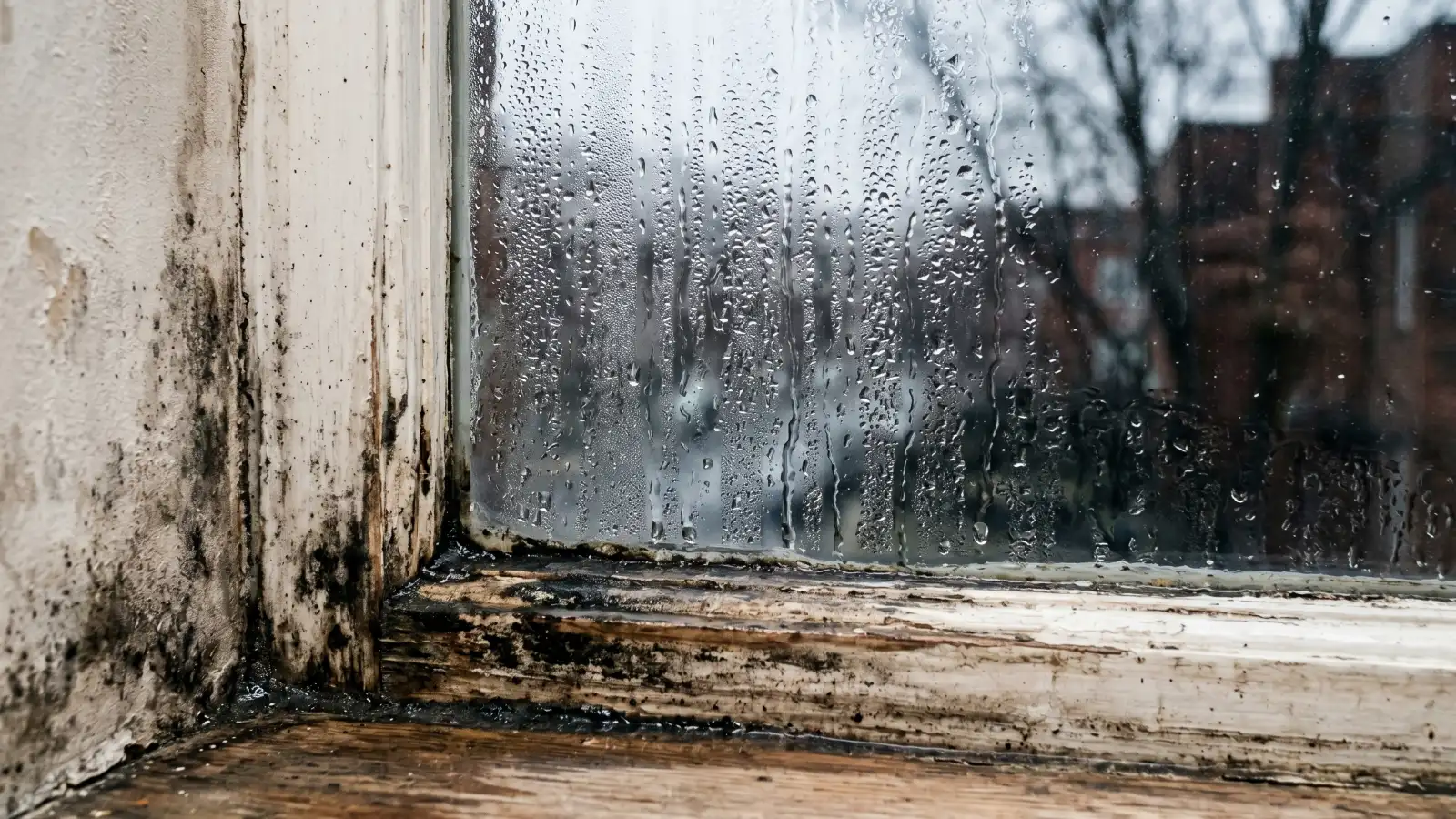 Mold growing at a window corner where condensation has accumulated on the frame and wall
