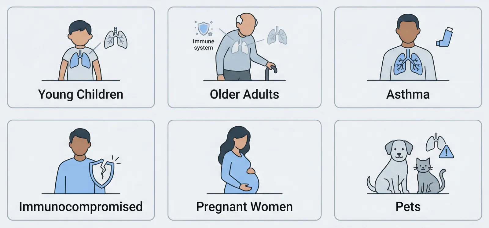 Infographic showing six groups most at risk from mold exposure: young children, older adults, people with asthma, immunocompromised individuals, pregnant women, and pets.