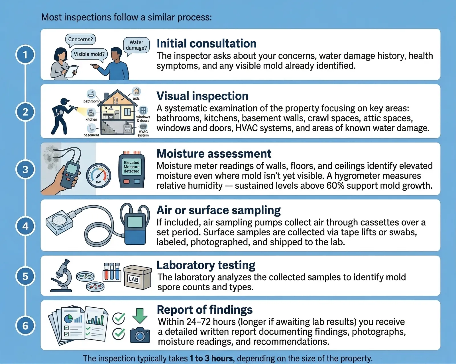 Illustrated diagram of the mold inspection process showing six steps: initial consultation, visual inspection, moisture assessment, air or surface sampling, laboratory testing, and report of findings