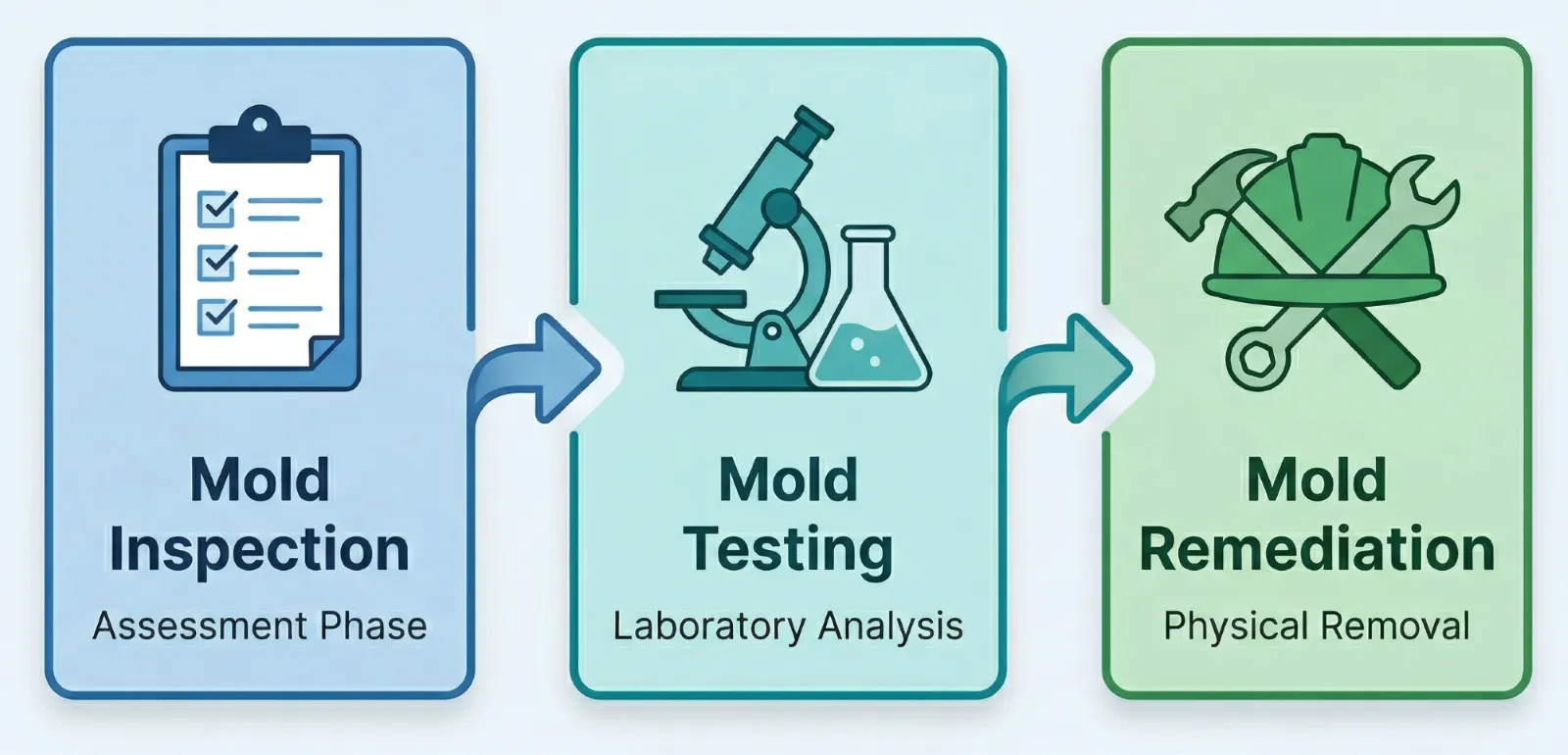 Diagram showing the three phases of mold assessment: mold inspection as the assessment phase, mold testing for laboratory analysis, and mold remediation for physical removal