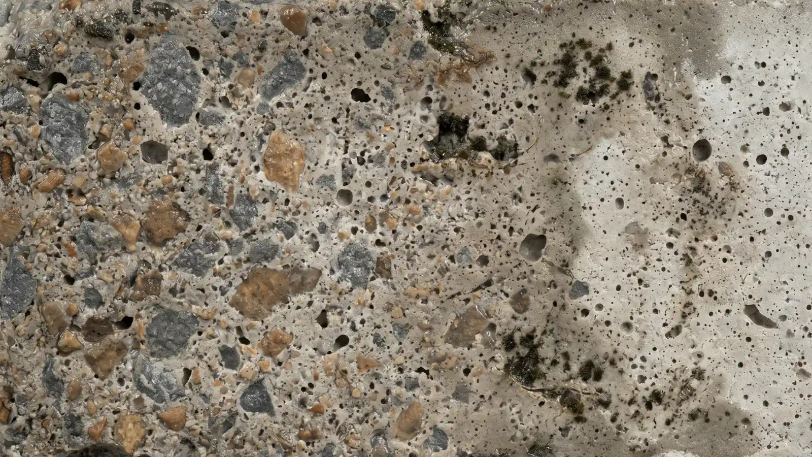 Macro close-up of aged poured concrete showing coarse aggregate, visible pores, and scattered mold colonies forming on the damp surface