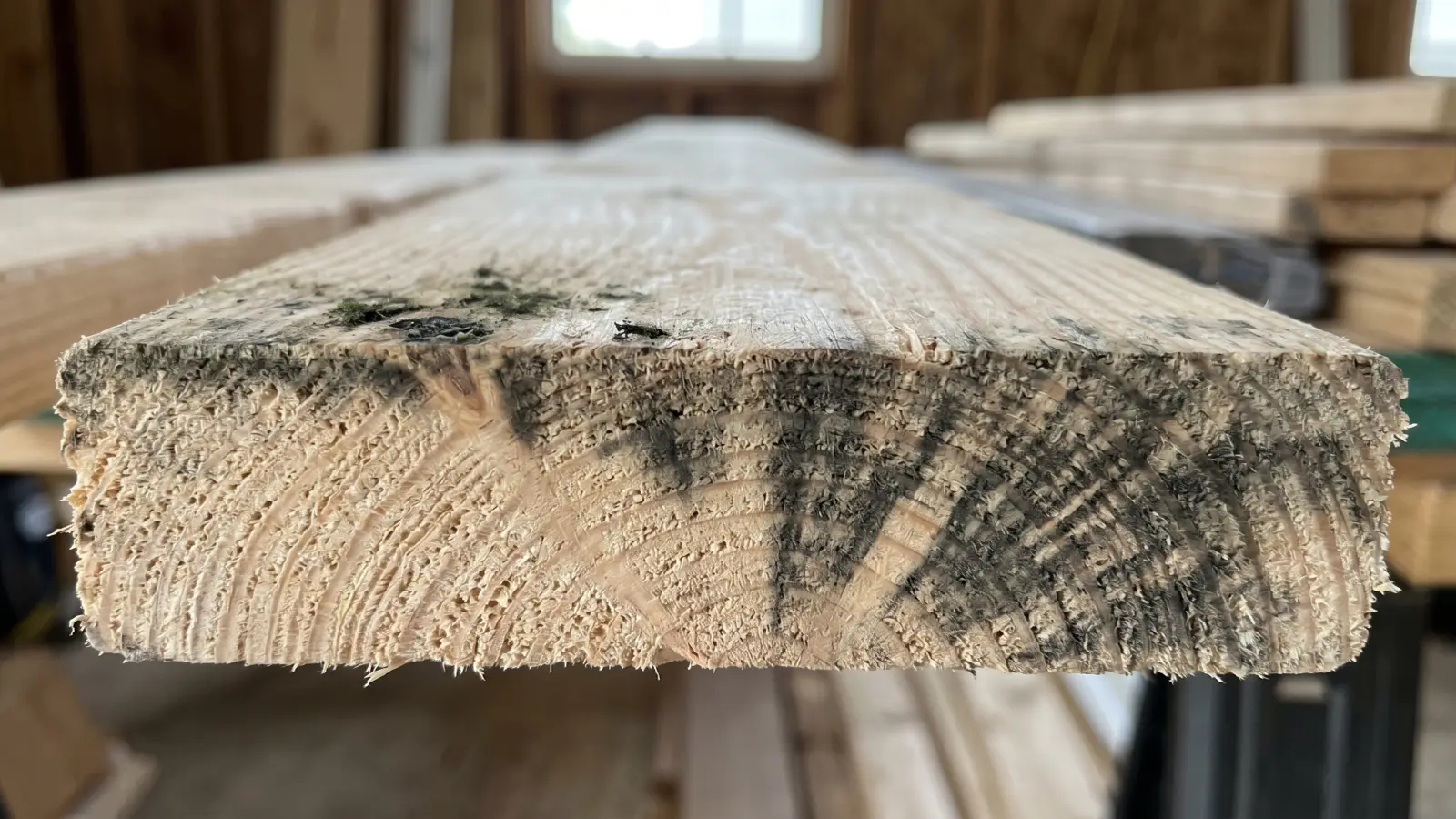 End-grain view of a lumber board showing dark mold staining on the surface penetrating into the wood fibers below