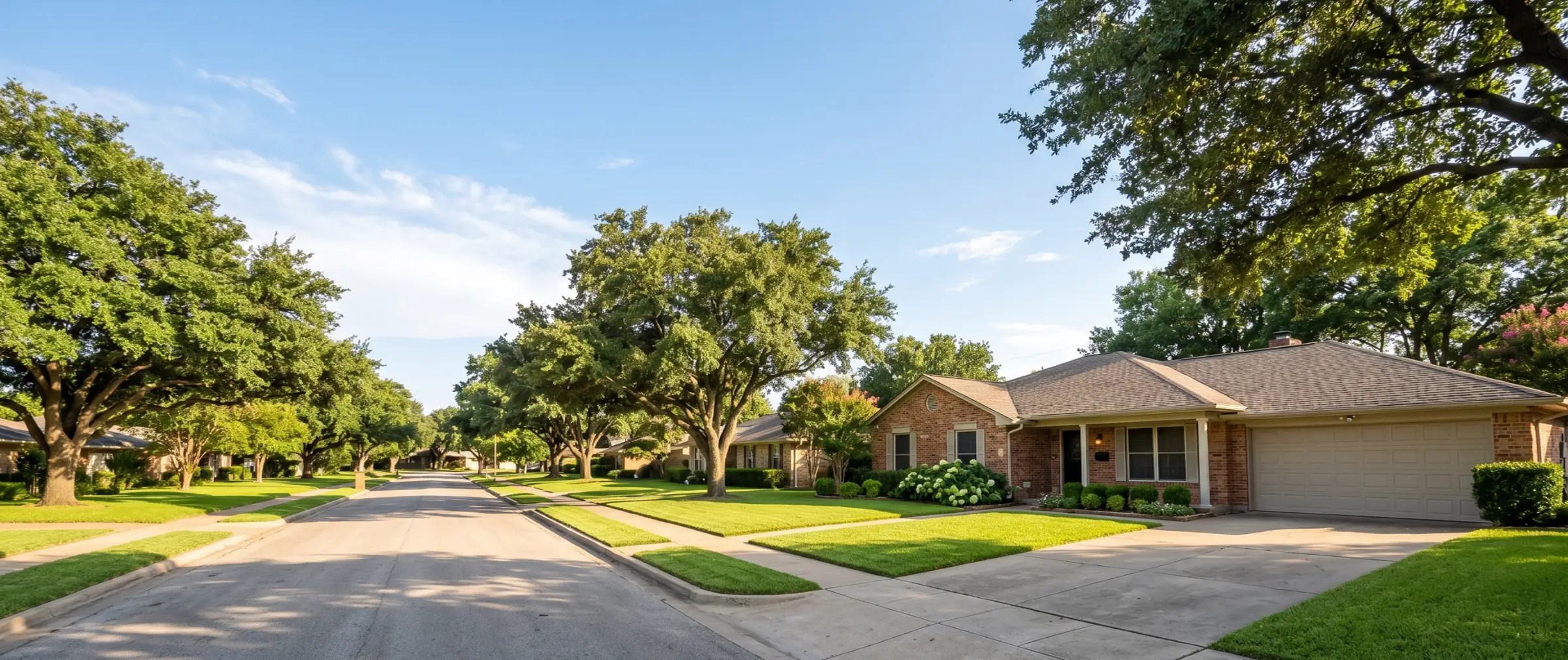 Tree-lined Dallas residential street with a brick ranch home and mature live oaks on a clear summer morning
