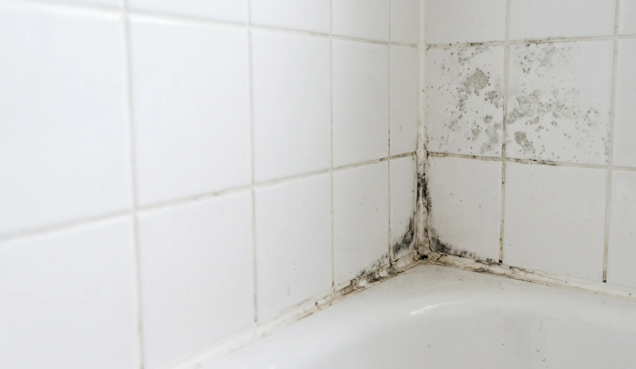 Dark mold growth along shower corner caulk line where tub meets wall, with flat gray mildew spreading across upper tile grout