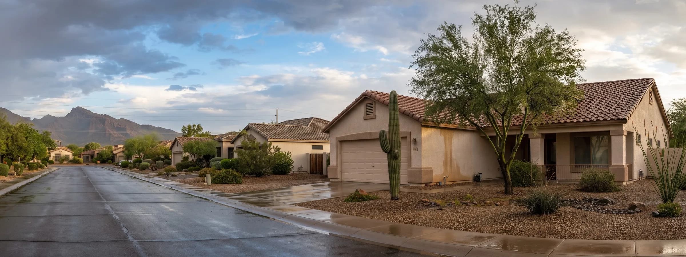 Single story stucco house with a terra cotta tile roof, a saguaro and a palo verde tree in a gravel yard, and brown water stains running down the stucco below the eave on a Phoenix street with a wet road and damp driveway under clearing storm clouds and distant mountains