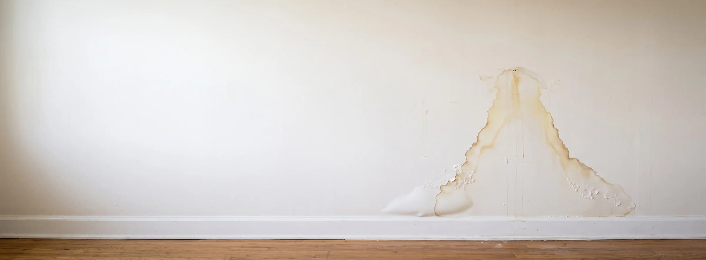Interior wall with a brown water stain and bubbling paint above the baseboard